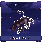Black Catt
