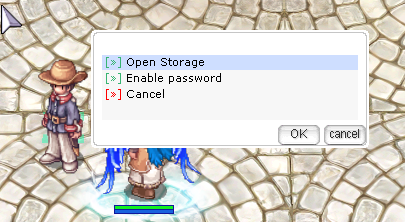 Password on storage
