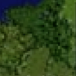 comparison.gif.616432ca371ee8dd8ab480f9d4ee0983.gif